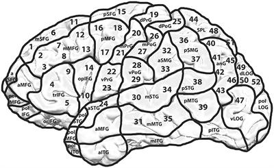 Non-invasive Mapping of Face Processing by Navigated Transcranial Magnetic Stimulation
